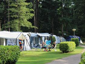 Camping De Leemkule in Hattem