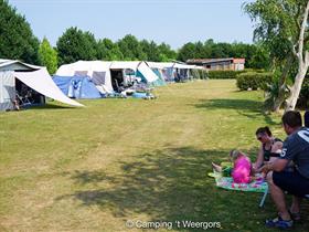 Camping 't Weergors in Hellevoetsluis