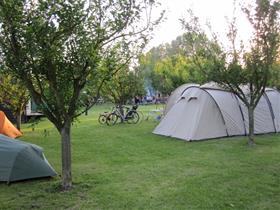 Camping De Karekiet in Buren