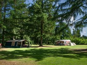 Camping de Roggeberg in Appelscha