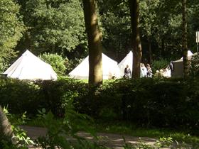 Camping Break Out Groningen in Harkstede