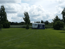 Camping Perkpolder in Walsoorden