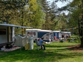 Camping Distelloo in Helvoirt