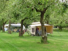 Camping Hermitage in Oostkapelle