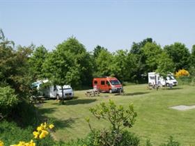Camping Meistershof in Dwingeloo