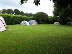 Camping Entourage in Vriescheloo