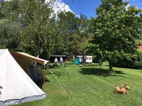 Camping In de Boomgaard in Jirnsum