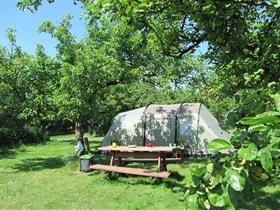 Camping In het Fruit in Zuidoostbeemster