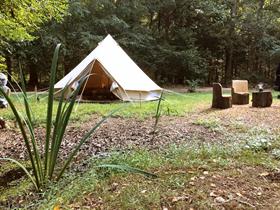 Camping Landgoed Mariahoeve in Papenvoort