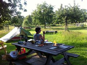 Camping Klein Groenbergen in Leersum