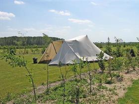 Camping ZomersBuiten in Oude Pekela