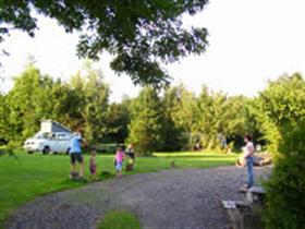 Camping De Hoeve in Westerlee