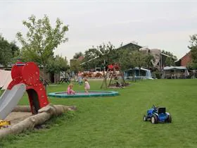 't Oortjeshek