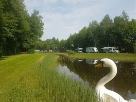 't Nije Hof