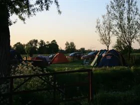 De Leeuw