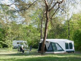 Camping Langeloërduinen in Norg