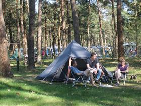 Camping Langeloërduinen in Norg