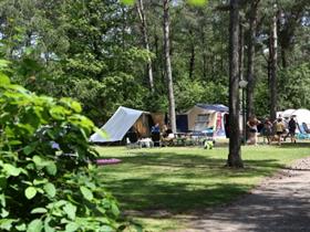 Camping De Krakeling in Zeist