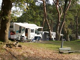 Camping Beerze Bulten in Beerze-Ommen