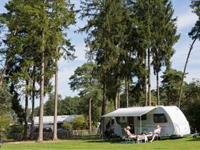 Camping Torentjeshoek in Dwingeloo