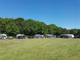 Camping Duinhoeve in Udenhout