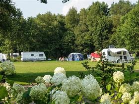 Camping Ruinen in Ruinen