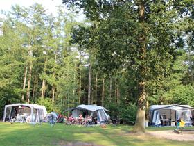 Camping De Leemkule in Hattem