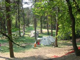 Camping Harskamperdennen in Kootwijk
