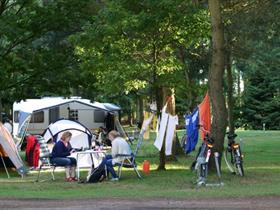 Camping Landgoed Borkerheide in Westerbork
