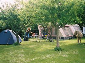 Camping De Bokkesprong in Vrouwenpolder