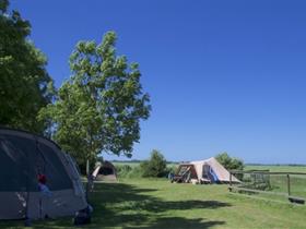 Camping Hayema Heerd in Oldehove