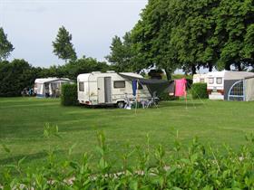 Camping Hoeve Bouw en Plantlust in Kamperland