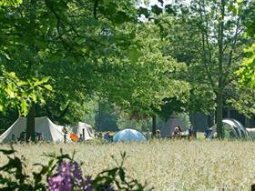 Camping De Hoevens in Alphen