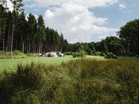 Camping De Kijl in De Kiel (Schoonoord)