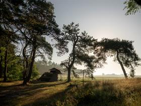 Camping Quadenoord in Renkum