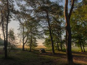 Camping Quadenoord in Renkum