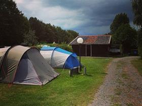 Camping Gorikshoekse Hoeve in Scherpenisse