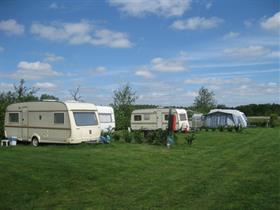 Camping De Dassenplas in Lepelstraat