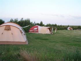 Camping Vertrouwen in Den Hoorn - Texel