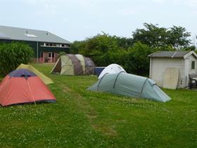 Camping Vertrouwen in Den Hoorn - Texel