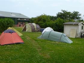 Camping Vertrouwen in Den Hoorn - Texel