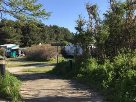 Camping Bloemendaal in Bloemendaal