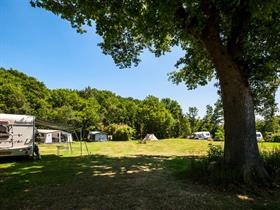 Camping Huis in ’t Veld in Paasloo
