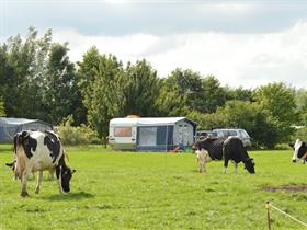 Camping De Boerderij in Snelrewaard