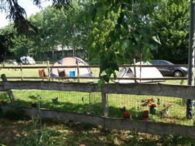 Camping De Eendenkooi in Waardenburg