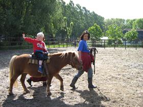 Camping De Eendenkooi in Waardenburg