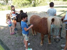 Camping De Eendenkooi in Waardenburg