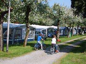 Camping De Linie in Opheusden
