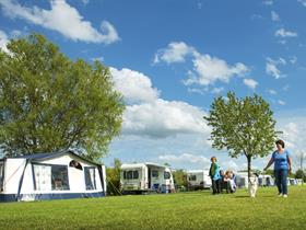 Camping De Boterbloem in Amerongen