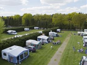 Camping De Simonshoek in Meijel